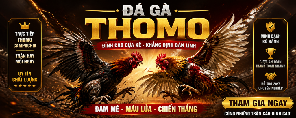 Trực Tiếp Đá Gà Chất Lượng Cao